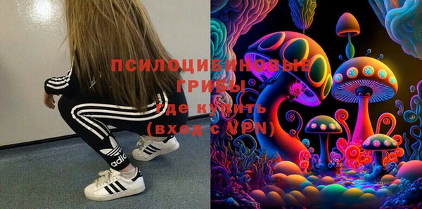 гидра Иннополис